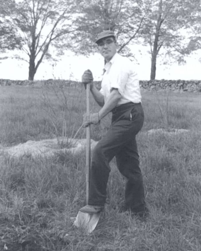 Bill Bramlage Digging Planting Holes for Blueberries, Leverett, MA. May 1971.