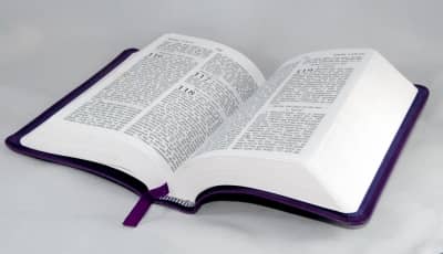 Faith to walk in, and fulfill God's purpose for your life, comes consistently meditating on the Word of God.