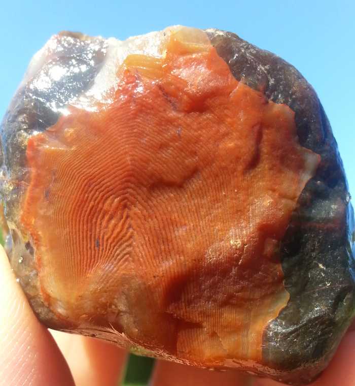 "When we lift up any stone in the universe God's fingerprints stare back at us" ~ Richard A, Swenson "More than Meets the Eye