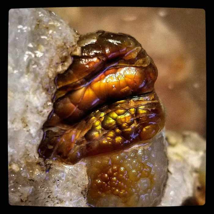 "I have here seen the power and glory of the Supreme Being. The majesty of His handiwork is in that testimony of the rocks" ~ Lafayette H. Bunnell ~ American physician, author, and explorer - Arizona fire agate