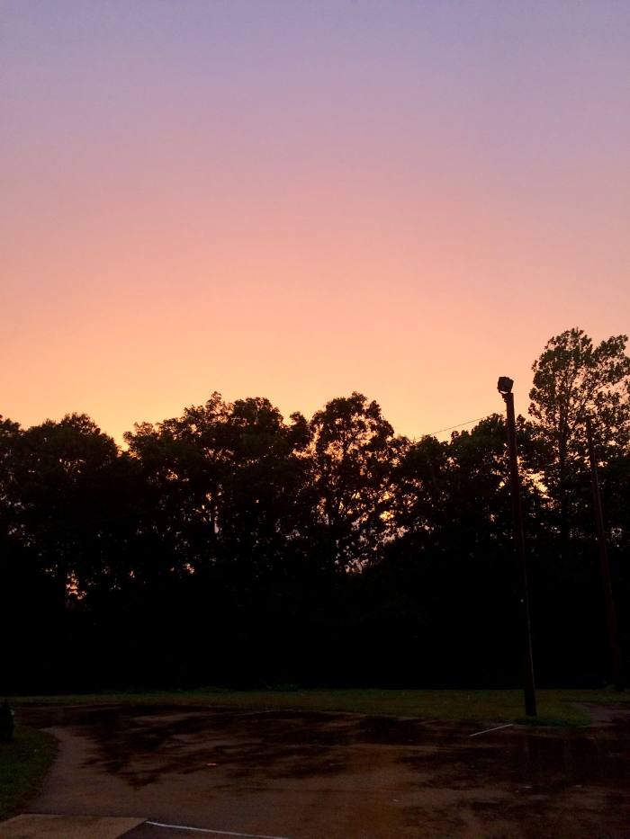 "you were so beautiful you made the trees blush so they called it autumn because they had to call it something"