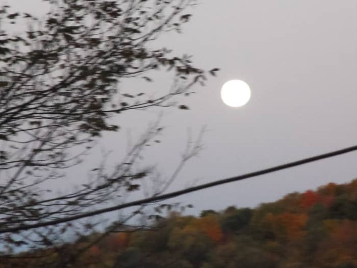 A moon light night not long ago give an extra lust to objects below. Light enough to film autumn leaves at midnight.