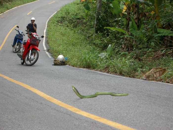 the-motorcycle-diaries-part-14