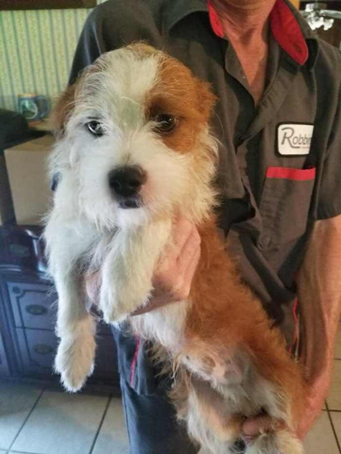 Mookie the dog, then named Luke, at an animal shelter after being taken from a home with about 30 other dogs. Mookie was pulled from the shelter by the rescue group Who Rescued Who, a Montgomery, Texas group that has rescued scores of dogs.