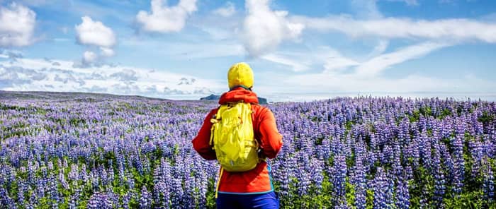 Even reflecting on the heavens and nature, can be modes of prayer. The Heart's intention is the key as well as a calm and silent mind