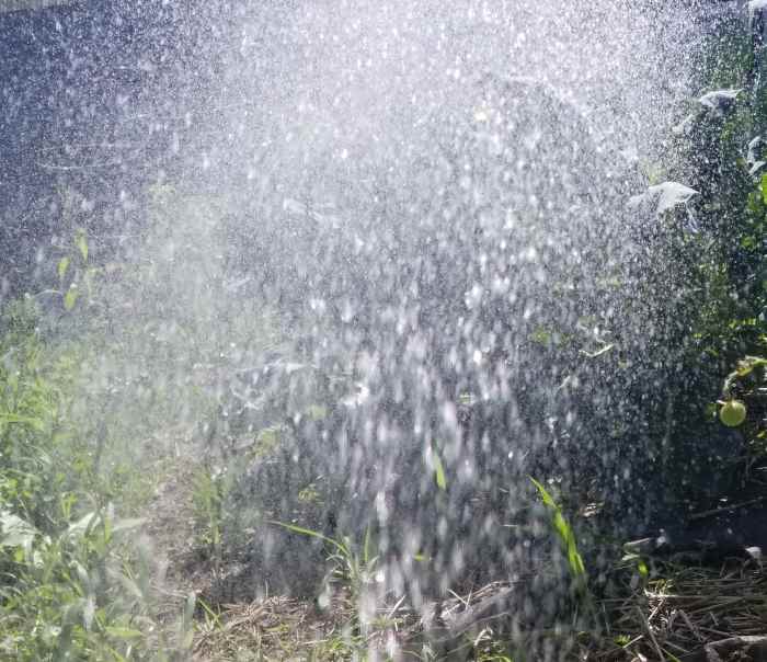 Watching water droplets sparkle in the sunshine while I water our gardens is as enchanting as it is refreshing.