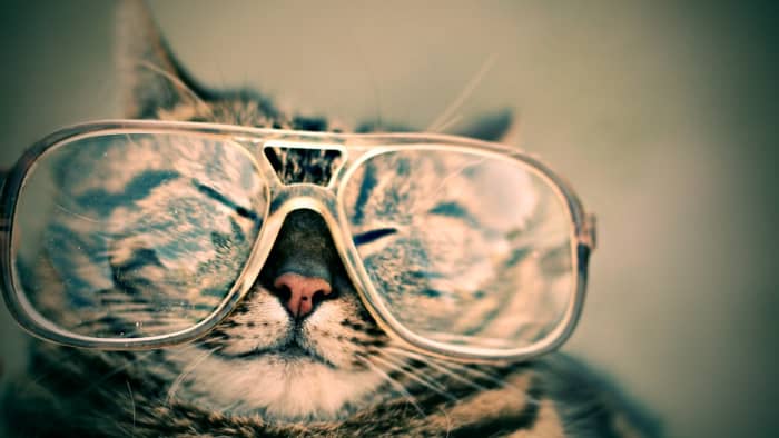 El Cato Catabar, our confidential informant for the past 9 years, has recently been involved in Black Cat Ops as far south as Utah.