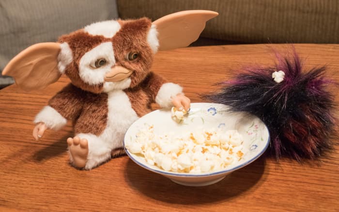 My Tribble, Punk, eats popcorn with Gizmo during movie night. Punk is messy and sometimes will get popcorn in his fur.