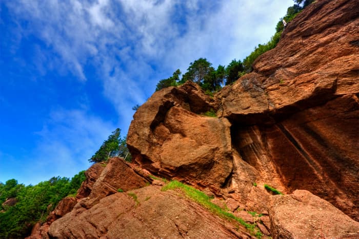 Living under a rock may feel safe, but it's so much more interesting in the sunshine!