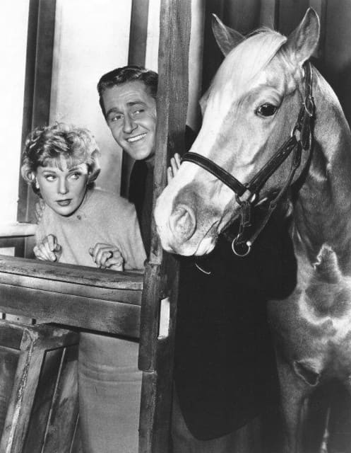 Anna laughed at Mr. Ed, the talking horse.