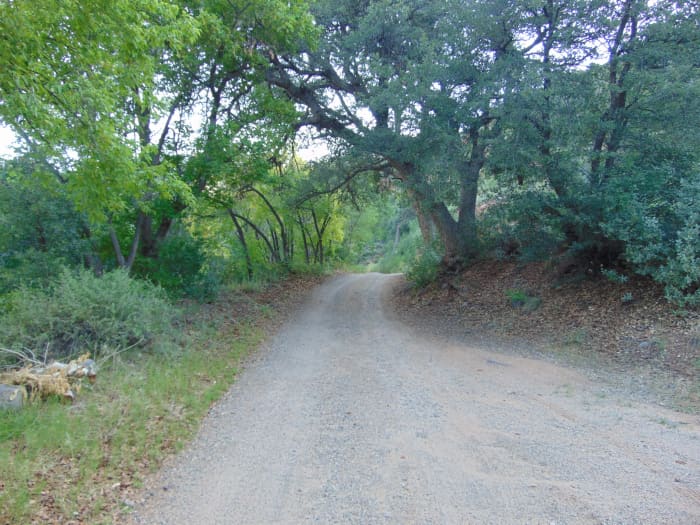 This is called "Old Indian Road". That is a translation of what the Piutes named it. Those Native Americans sure were not at all PC.