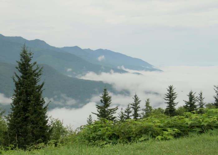 Maybe someday we will have a little cabin on a mountain, looking down at the clouds in glee.