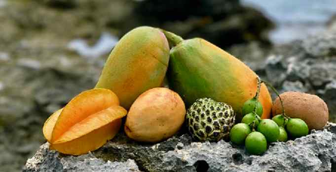 Front left to right: starfruit, guava, sugar apple, genips. Back left to right: mango, papaya, sapodilla. Photo Credit: Copyright © 2018 Plants and Healers International