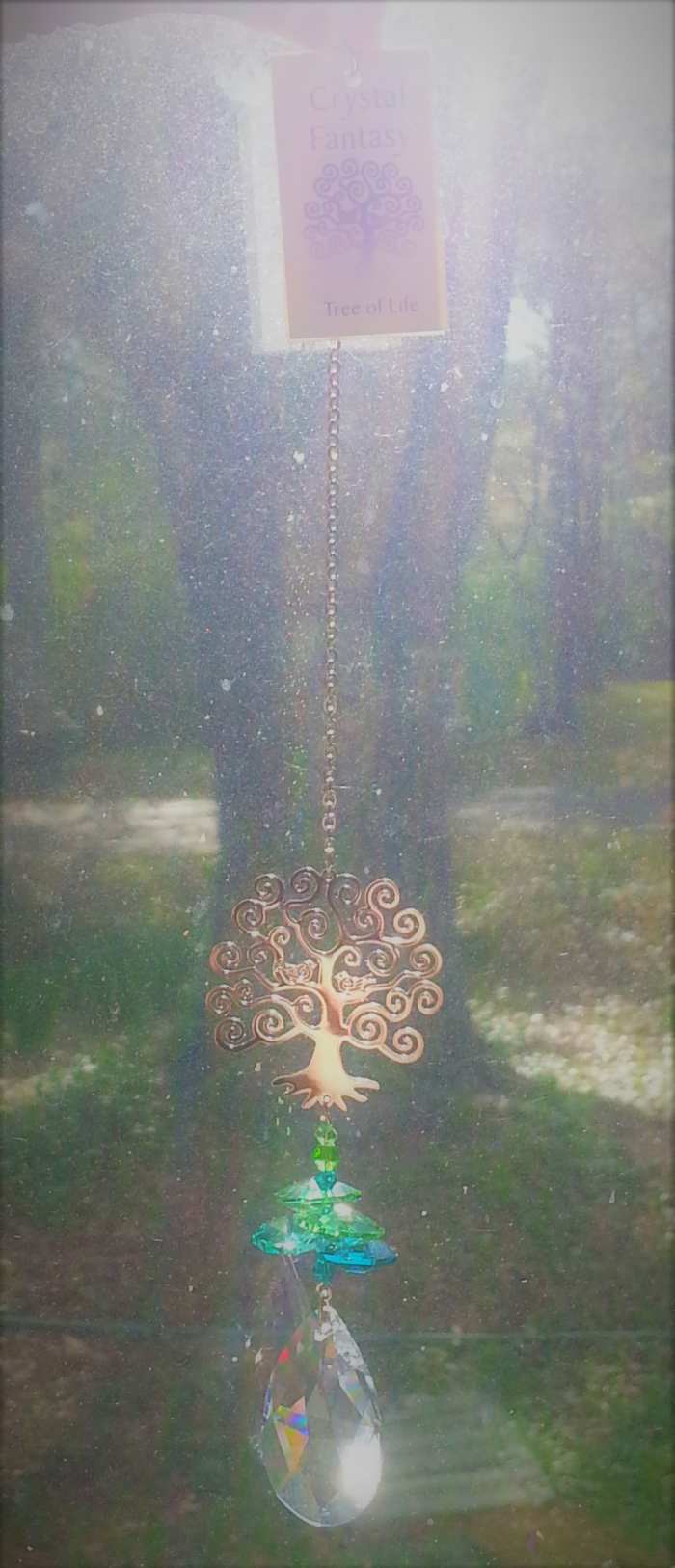 The "Crystal Fantasy Tree of Life" hanging crystal from Pike's Nursery aligned with an actual tree in our front yard. It shows the symbolism of the trunk, the roots in the ground, water table feeding the roots, and luminous glow I felt that day
