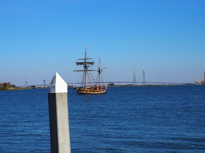 Here she comes! At this point, she is under engine power, as it is very tricky to try and maneuver a sailing ship in to tight quarters at a dock while under sail.