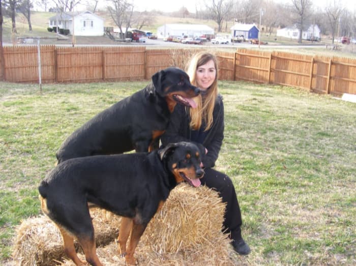 My Rottweilers Petra and Kaiser (Einstein) in my fenced yard back when we lived on a farm in Missouri.