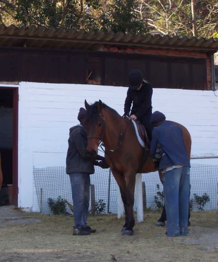 How to Fall off a Horse Safely, Without Injury HowTheyPlay