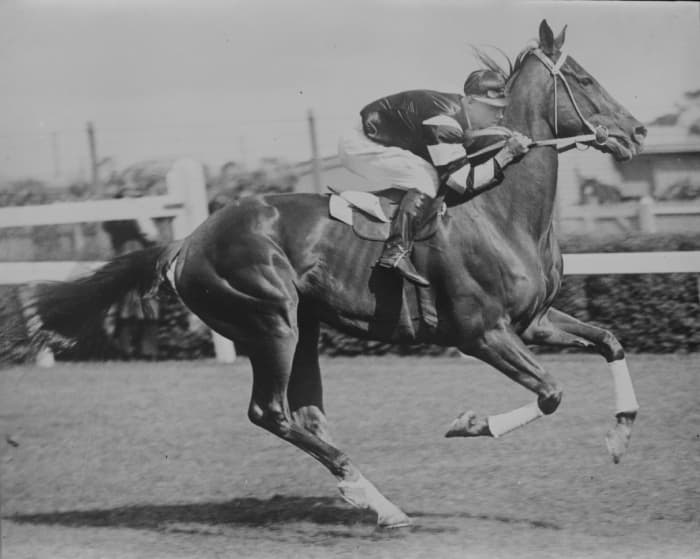 11 Best Racehorses in History HowTheyPlay