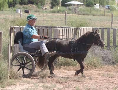 In contrast to the "normal" cart and harness, PJ competes in a heavier, marathon type harness. He also drives a Hyper Bike, weighing only 30 pounds. The entire goal is to make his gear as comfortable as possible for the demands of his sport.