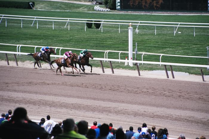 The Belmont Stakes is known as "The Run for the Carnations," because the winning horse and jockey receive a blanket of white carnations.
