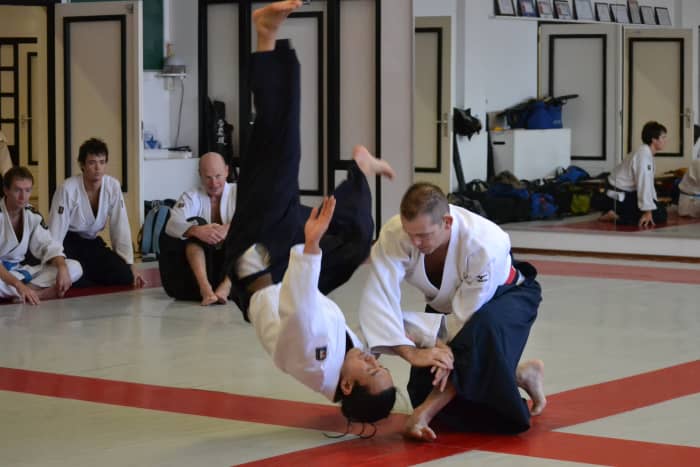Aikido, like Tai Chi, uses flowing motion to redirect an attacker's movement to use it against him.
