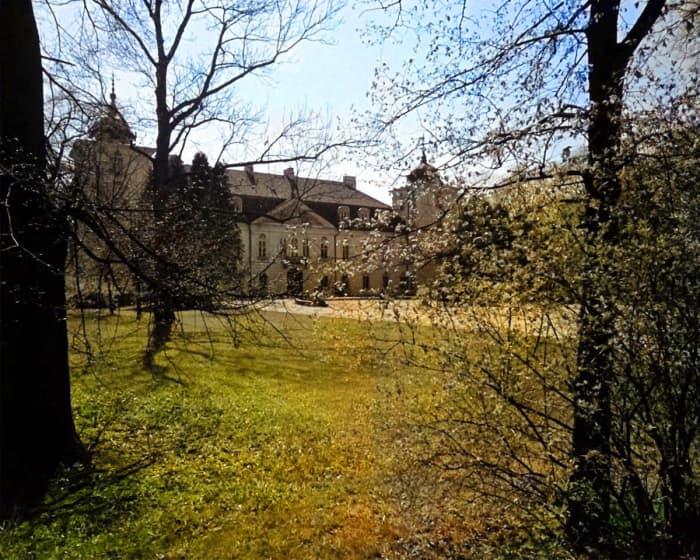 With the exception of a little reddishness added to the lawn (which can easily be fixed manually) a boost in saturation results in something that looks much more like a color photo.