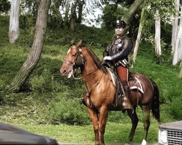 Colorize Photos did a good job on the foliage and the horse, but it colored the hind legs green, and it skipped the face of the rider. I would also remove the red from the officer's trousers.