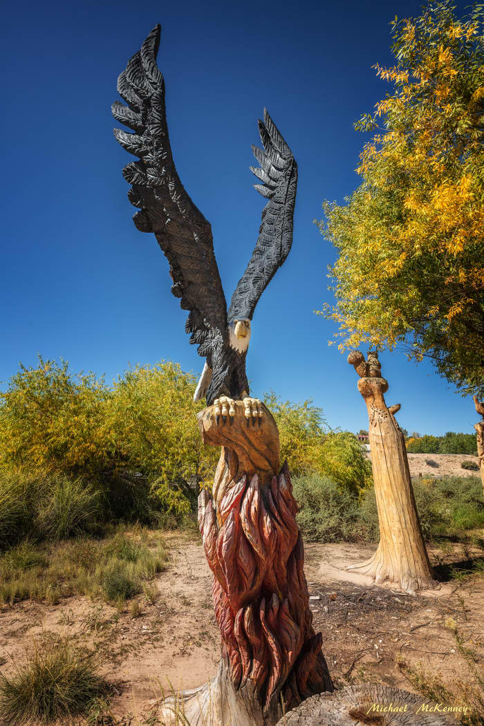 Mark Chavez carved all of the work shown in these photographs at the scene of a 2003 fire in Albuquerque. They are carved from remaining tree trunks at the site.