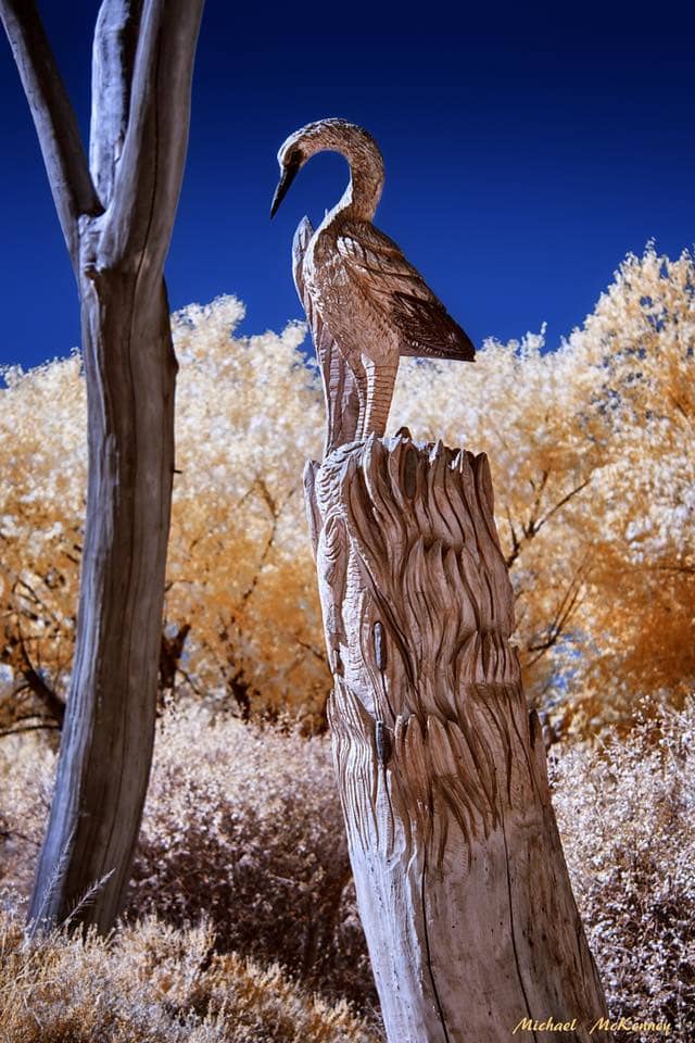 This chainsaw carving of a crane represents the many animals that were displaced or destroyed as a result of the 2003 fire.