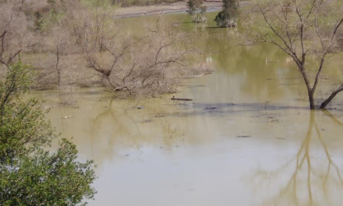 The porous soil behind Devil's Gate Dam allowed for rainwater to sink down into the aquifer. It also became a haven for herons (like the one in the center of the photo) and other waterfowl.