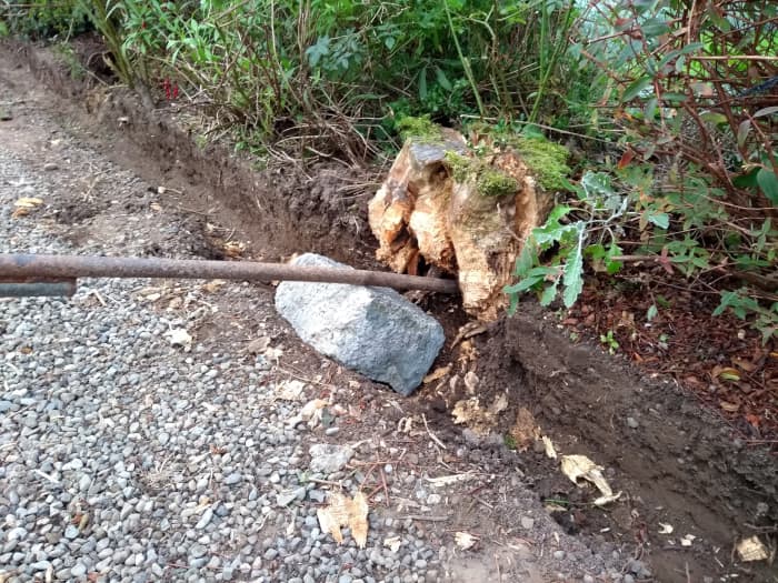 how-to-remove-a-tree-stump-easily