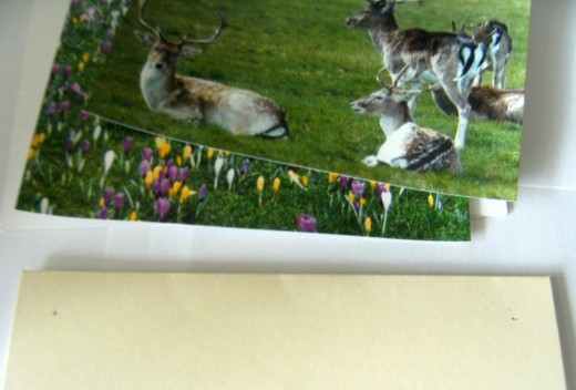 How to make greeting cards with photos