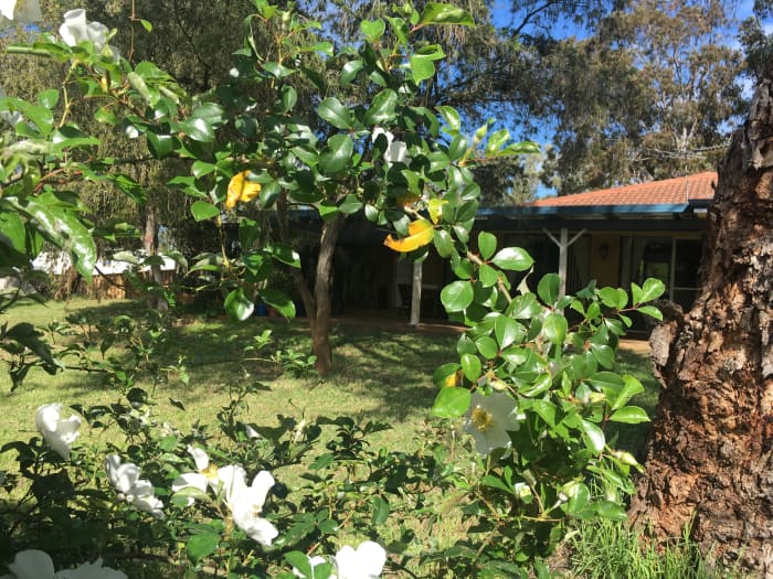 It was a quiet sunny Sunday morning, on the semi-rural road south of Perth where she'd lived all her life.