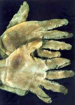 Gloves Made Of Human Skin That Were Made By Ed Gein