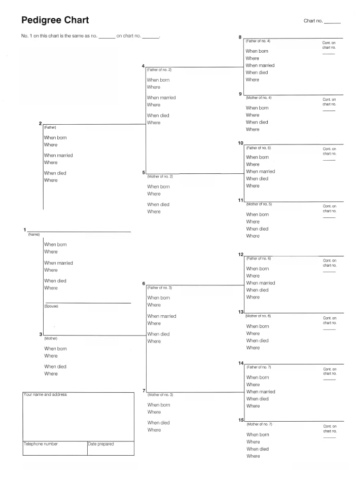 How to Start Your Own Family Tree - HubPages