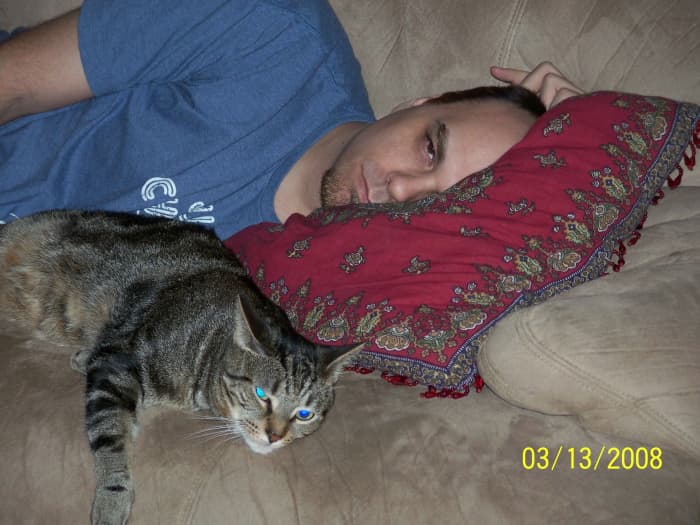I've always told my sons that the best way to find a girlfriend is to take the dog for a walk- I wonder if the same applies for cats? (DJ Funktual and Cat)