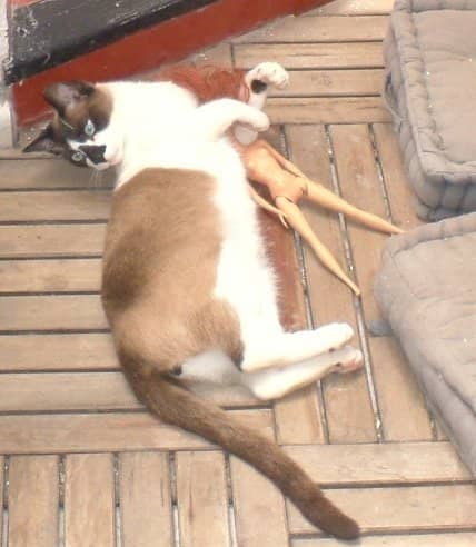 Ely and I need to have a talk about this "body image" fetish his cat has.... could be sexy and healthy but it might not be.