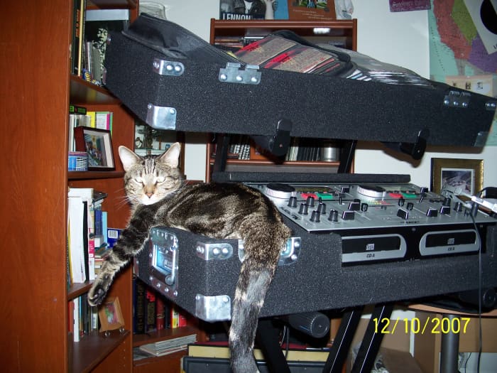 There's nothing sexier than a cool cat named Leopold that can bring home the bacon and spin disks at the same time.... (photo courtesy of DJ Funktual)