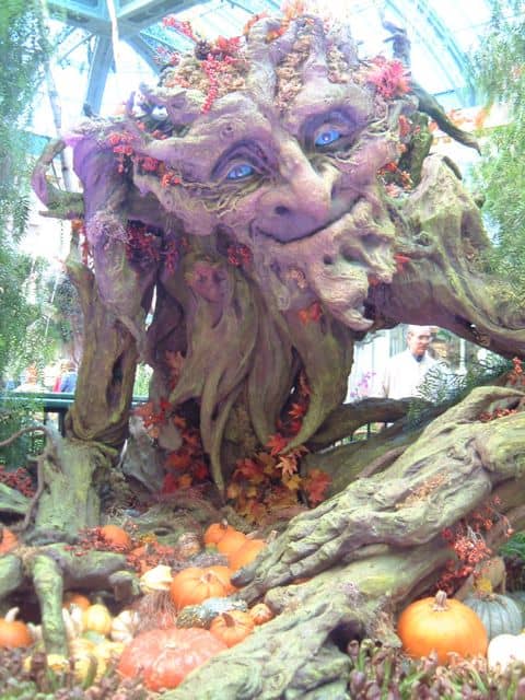 A living tree is a whimsical symbol of the GreenMan turned brown for autumn and Samhain.