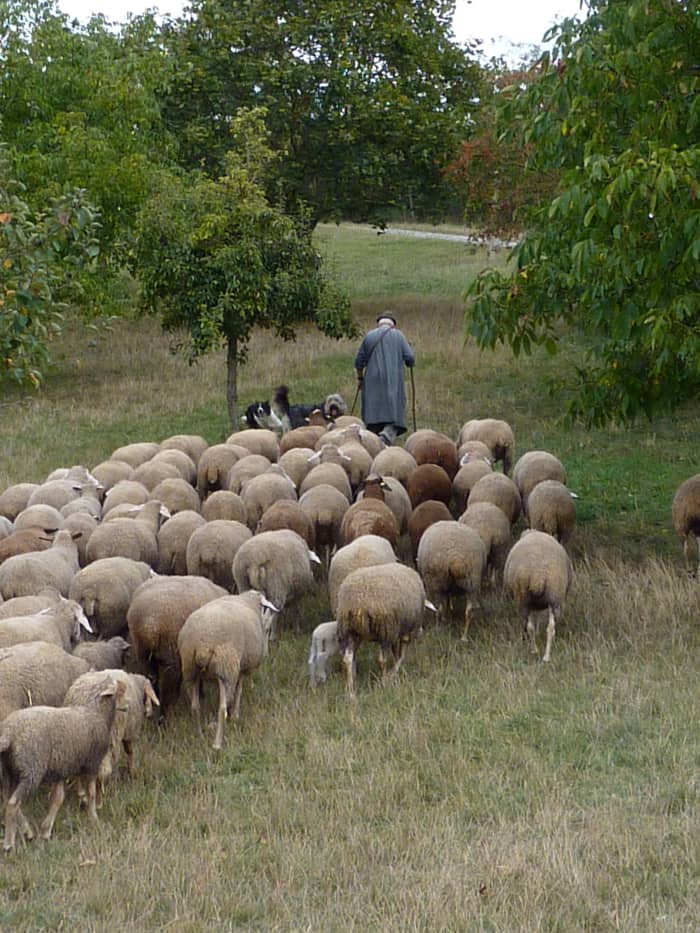 Cult awareness: If you're following the leader for all of life's decisions and that leader is not you, it's time to make a change.