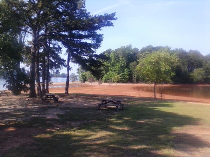 Where the mud is, there should be water, and the trees on the other side are supposed to be on an island. We can now walk to the island.