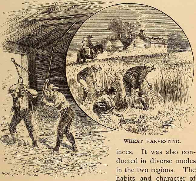 Indentured Servants HubPages