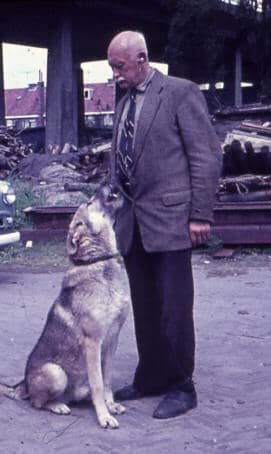 Dutch breeder Leendert Saarloos (1884–1969), Creator of Saarloose Wolf Dog Breed.