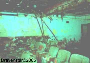 Very hard to see but this is Ronald's picture of the orb that flew by us and seemed to be just as curious at us as we were it.