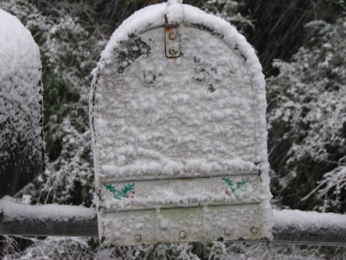 It doesn't snow often in Louisiana, but when it does it is an event. A holly covered mailbox in a winter wonderland.