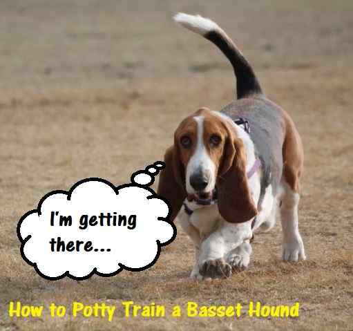 Potty training doesn't have to be hard.