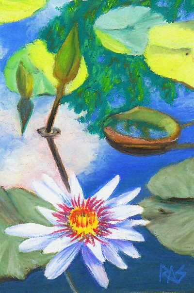 Water Lily Pond by Robert A. Sloan, Caran d'Ache Neopastel on Rich Beige Colourfix sanded pastel paper.