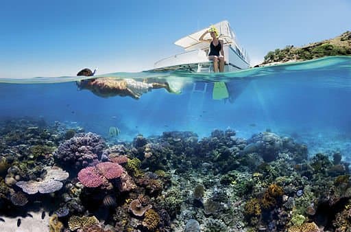 Reef Snorkelling on the Great Barrier Reef.
