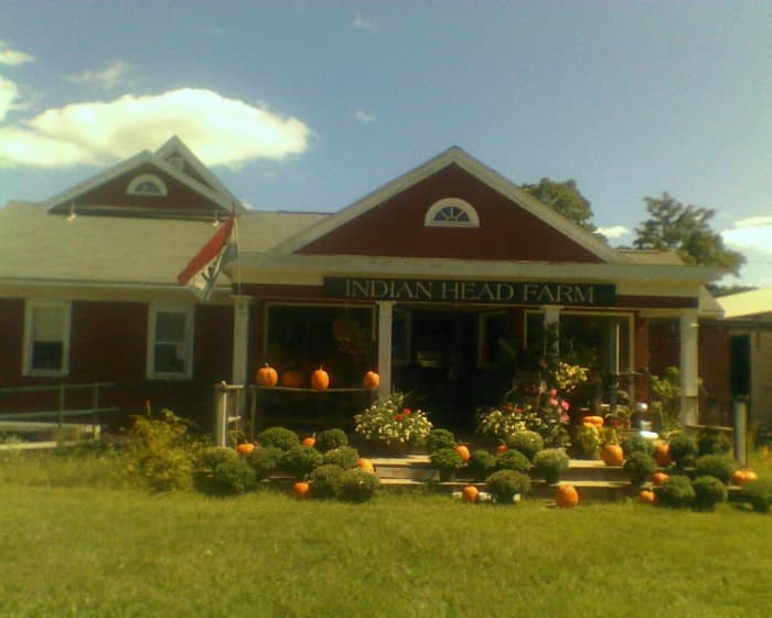Indian Head Farm, where Cosette and Mama joined edible plants specialist, John Root