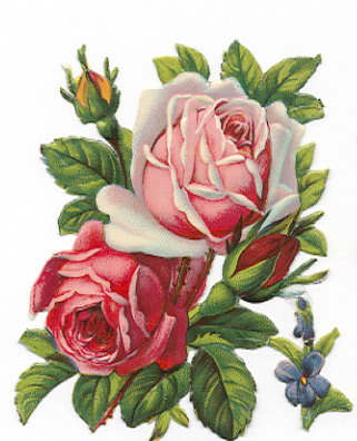 Visit the Free Vintage Flowers Clip Art hub in the left column to see and download this and other similar floral art